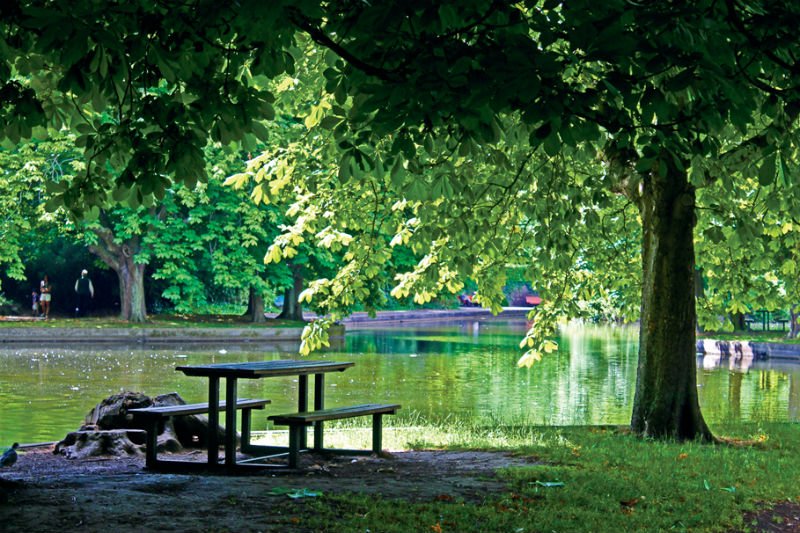 Herbert park, Dublin, irlanda, picninc